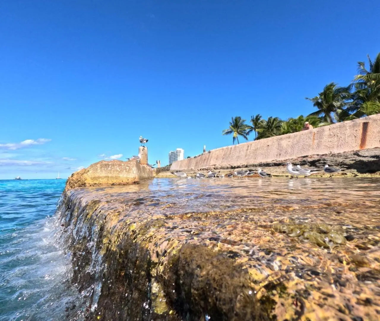 Apartmán Scuba House! San Miguel, Cozumel Mexiko