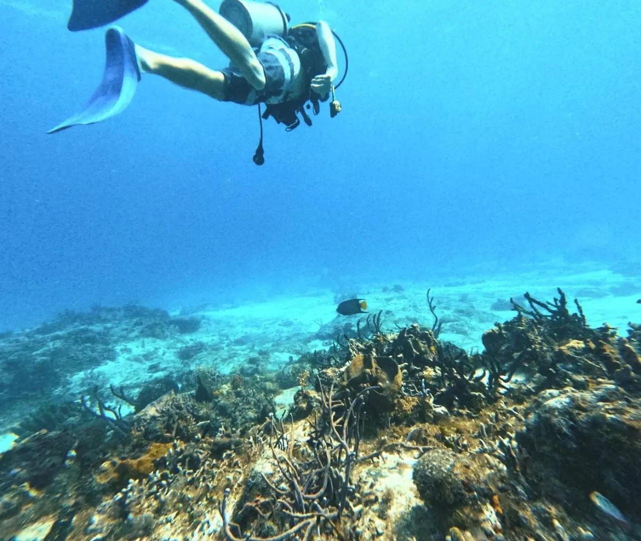 Apartmán Scuba House! San Miguel, Cozumel