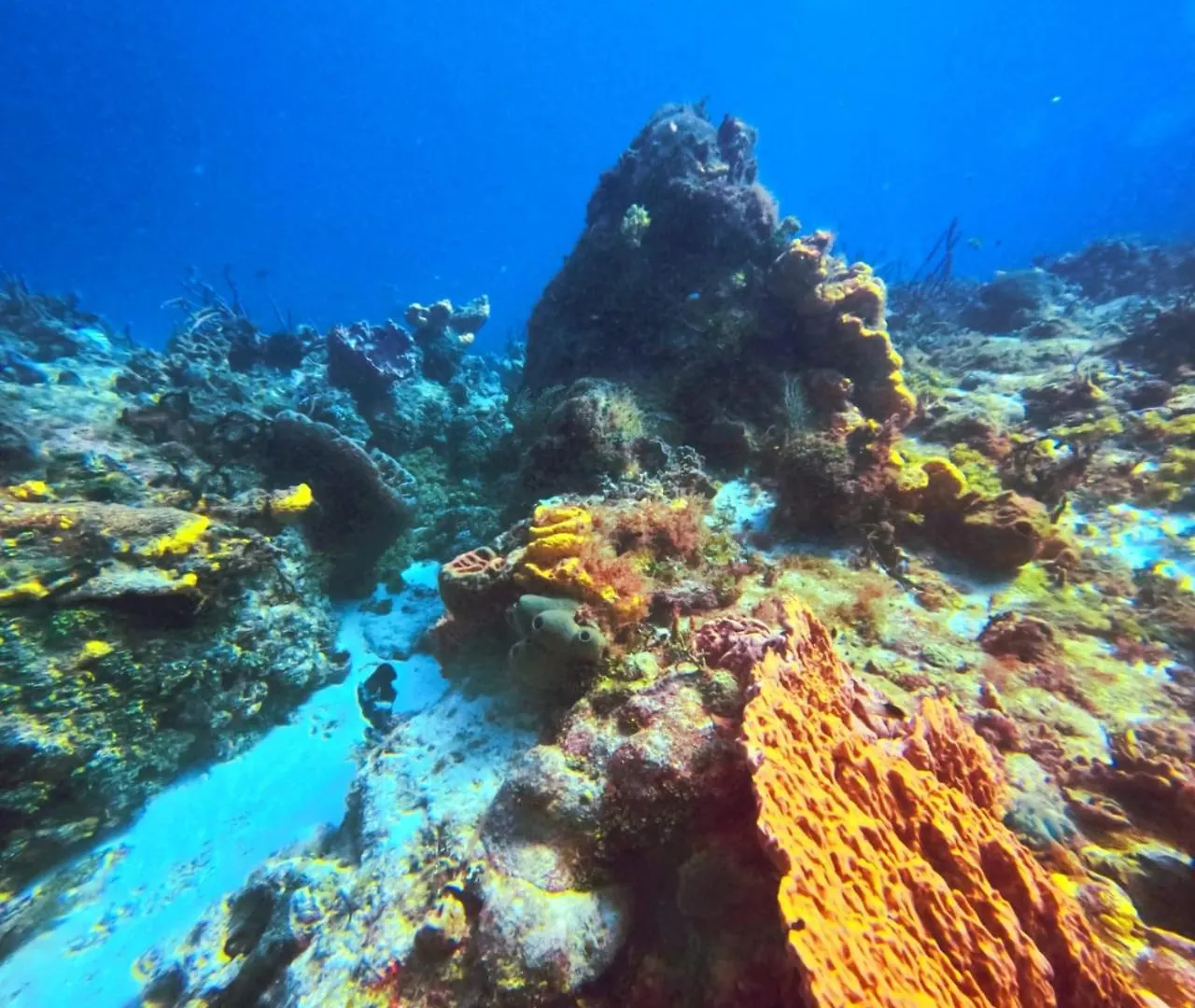 Apartmán Scuba House! San Miguel, Cozumel